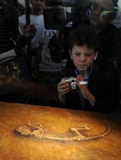 组图:美国展出4700万年前完整灵长动物化石
