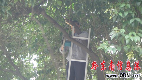 ԰ִе޼ͼ