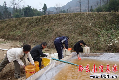 黄平县有多少人口_黄平县旧州镇图片