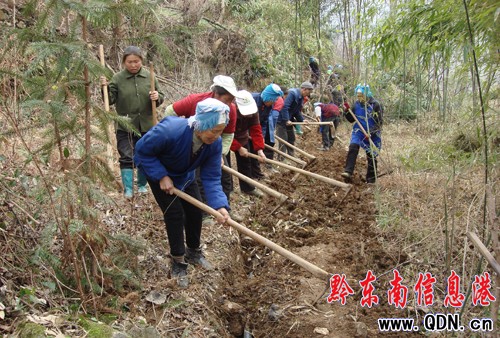 黄平县有多少人口_黄平县旧州镇图片