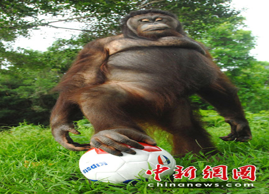Ҳ籭