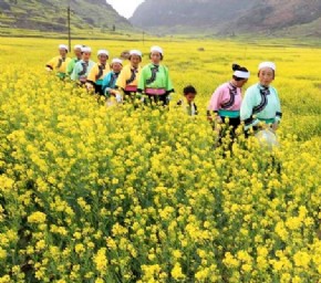 春游贵州 让人无法不惊艳（图）