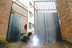重庆多名小学生在校内遭流浪狗撕咬头颈部(图)