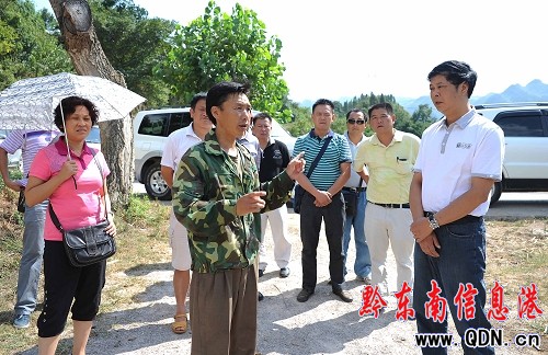 8月21日,丹寨县委书记古鹏(右一)与副县长陈政兰(左一)在丹寨县兴仁镇
