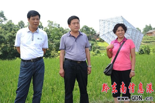 8月21日,丹寨县委书记古鹏(左一)与副县长陈政兰(右一)在丹寨县扬武乡