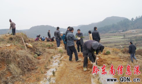 天星镇有多少农村人口_...日,綦江打通镇天星村,兄弟二人与妈妈在一起. 上游新(2)