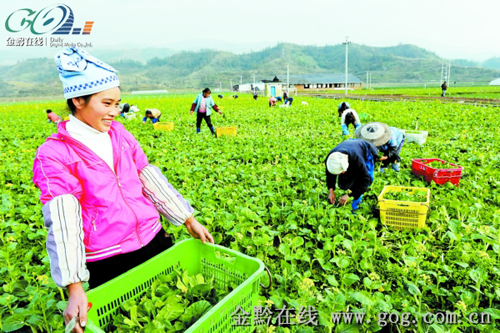书写在17万平方公里大地上的民生答卷(组图)