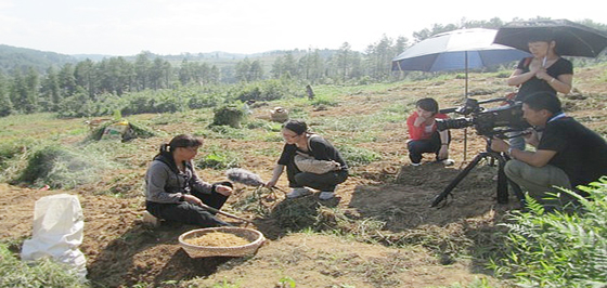 黔东南州迎十八大专题 - 黔东南信息港 - 黔东南