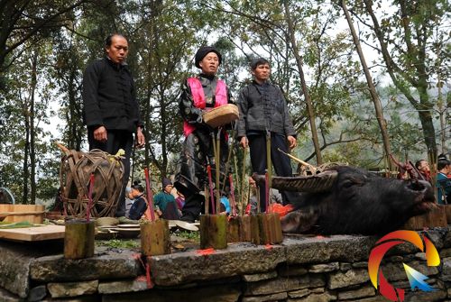 丹寨:苗族同胞欢度祭尤节(组图)