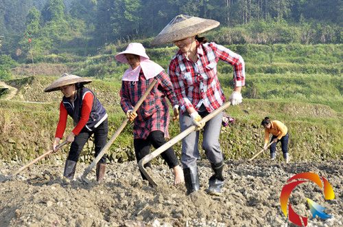 锦屏228家农民专业合作社带动10193户农户经