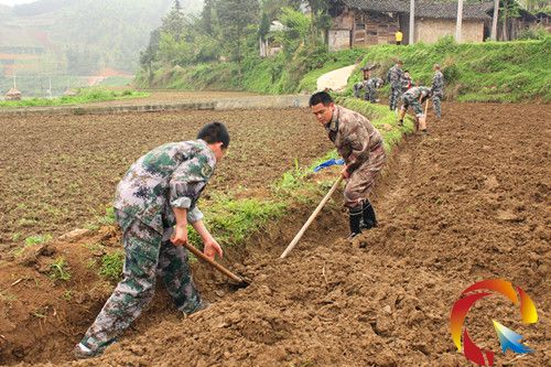 麻江县人武部组织民兵田间地头上党课(组图