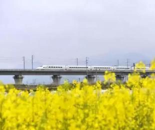 �������ڣ�����������6���г�����2�˾�������