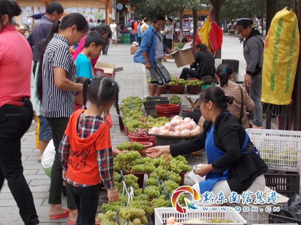 雷山文化旅游产业园区（西江镇）政务服务中心三举措提升政务服务能力