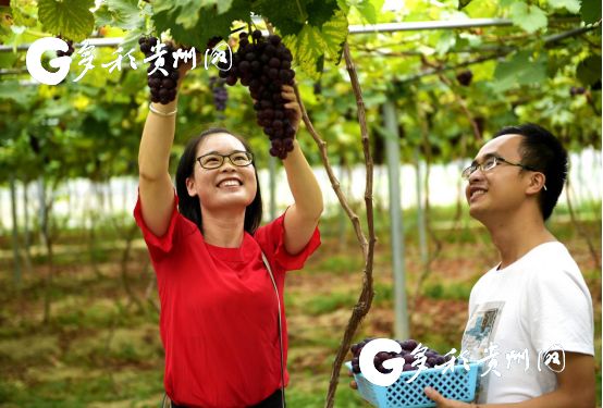 2021黔东南州经济总量_黔东南州地图