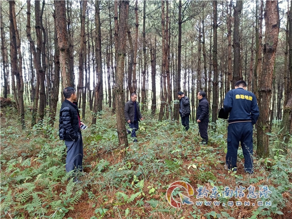 黄平县全面推行林长制100余万亩森林面积得到有效保护