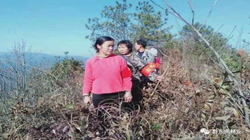 黔东南3名护林员获贵州省“最美生态护林员”称号