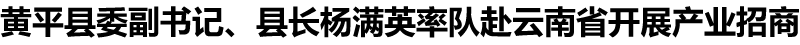 ƽίǡسӢʶӸʡչҵ