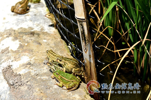 ܱ2ֻڰ 조ɫ