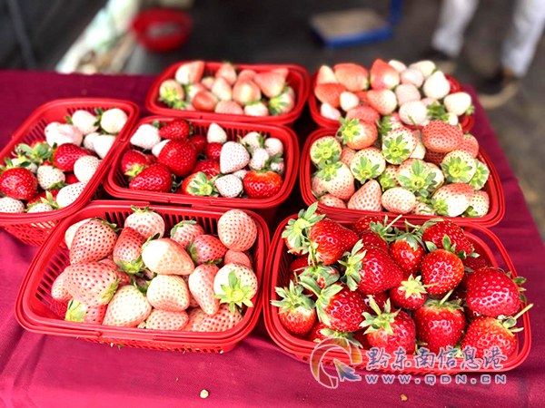 ����Ϫ����������ʵ�ֲ�ݮ���ɣ�