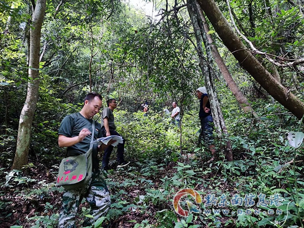 �������ýŲ�����ɽ�� �����Ļ������