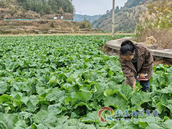 ¯ɽ�����޴壺�Ͳ�Խ�����ƺ� ũ������������