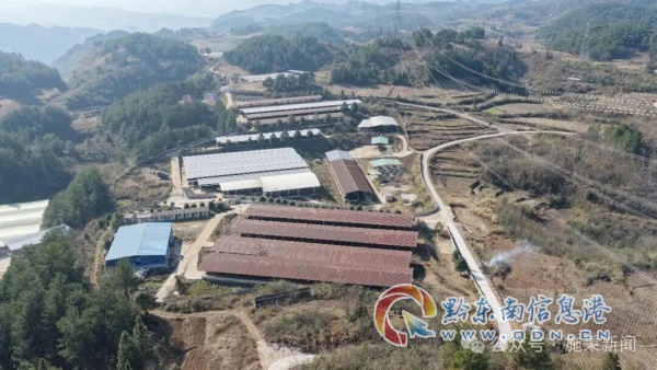 ��ƴ����ƴ��ţ������ʩ����������С�ţ������