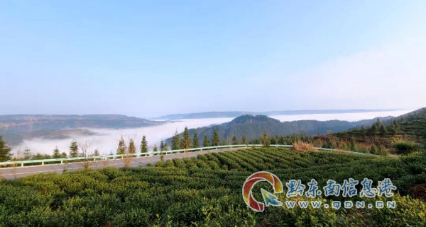 ������ί����Ʊ���Ӹ����ϡ������������