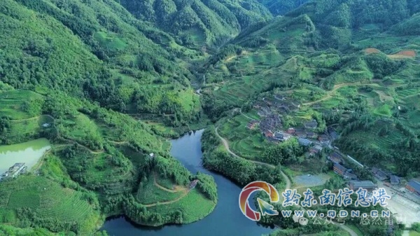 ���ݽ�Ң�壺һƬ��Ҷ�ֳ����̸�����