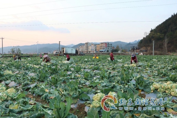 ��ѧ�ֵ�������������æ ��䡰�ᡱ��������