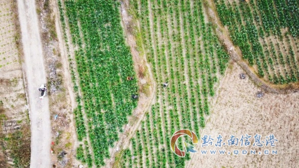 ᯹���עϪ��СС��޷���� Ⱥ���ſ��¸�