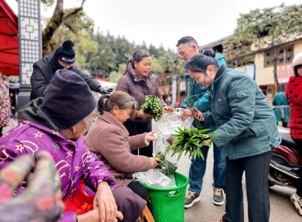 ǭ�����ݹܸɲ���ǰ��ʾ