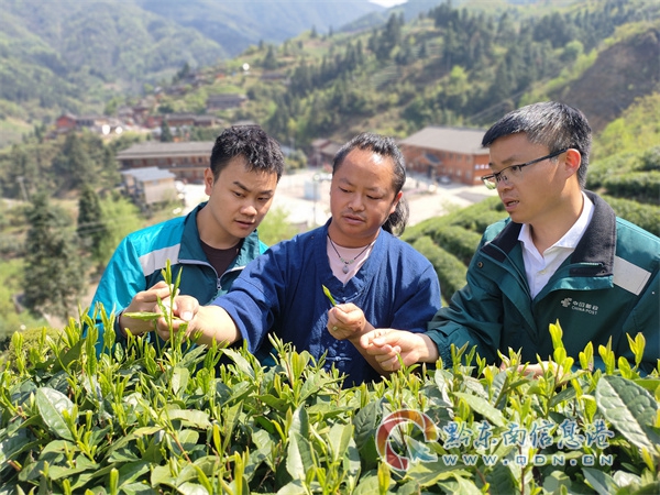 ǭ�����������˻���ͨ�������·����ǭ���ɽ���ɡ�Խ���һ����