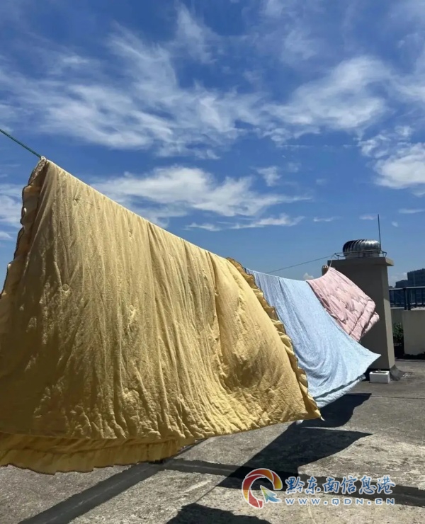 1784109280503628.jpg