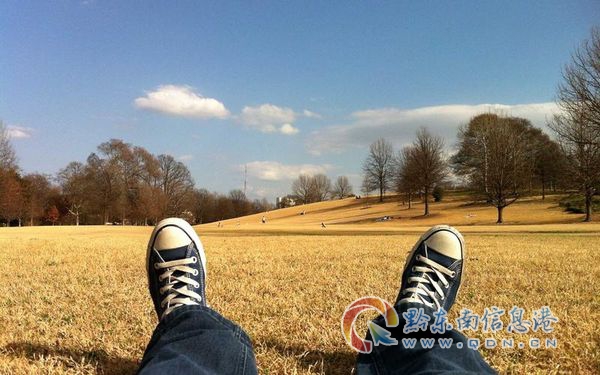 ������ʢ������ص��������ƺ��Ӹ�ɽľ����Ŀ��ľ����ɽ�ص����޽���������Ȼ�ƺ����ۣ�չʾ���ӵ��ε���Ŀ���Ч��