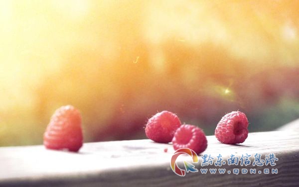 ������ʢ������Ŀ�Ŷ�����ɽ����Ŀ�ֳ����г��ؿ��⣬������Ա��ϵ��κ˶���Ʒ�����չʾ��Ŀ���ǰ��רҵ׼������